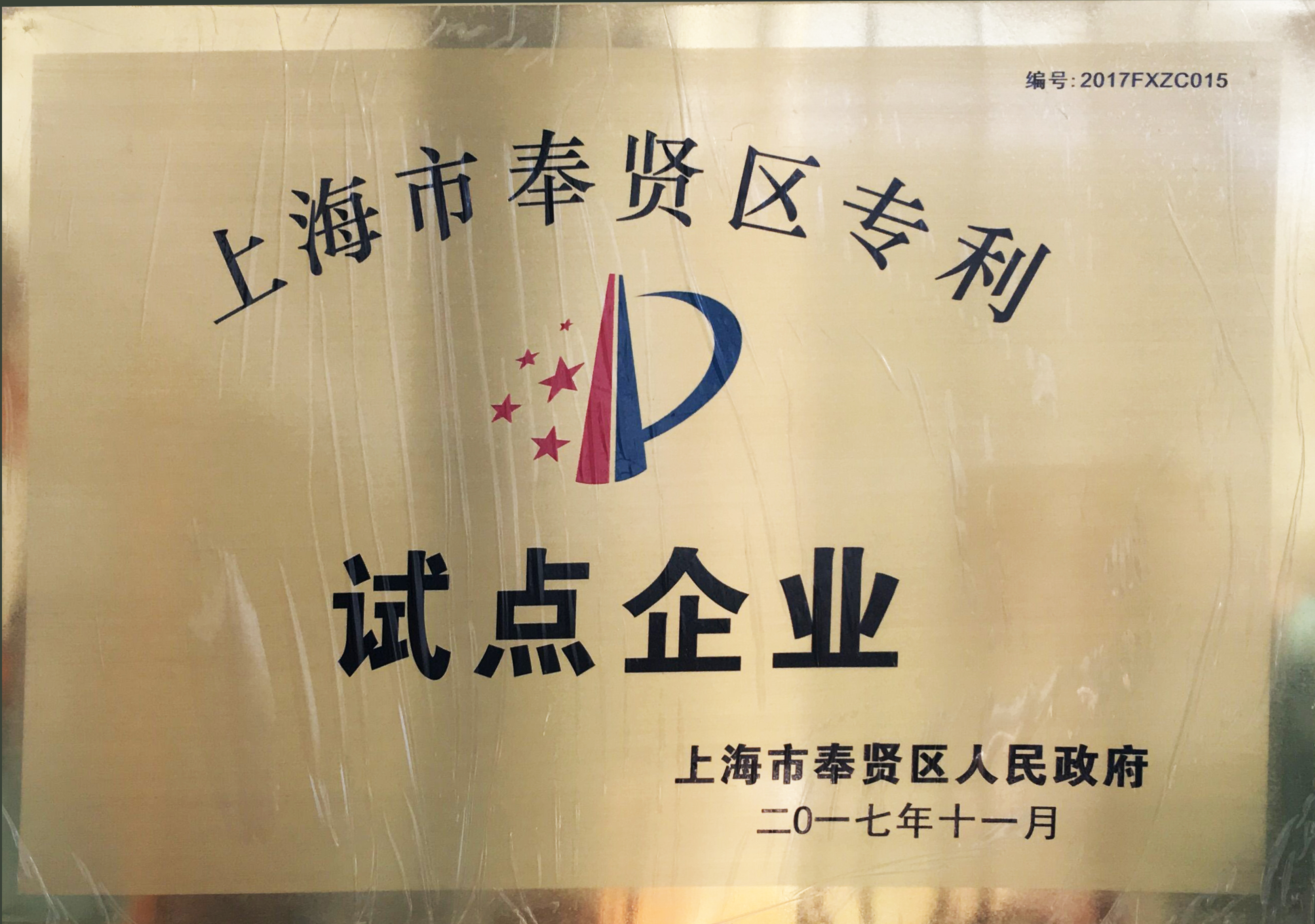 上海市奉贤区专利试点企业