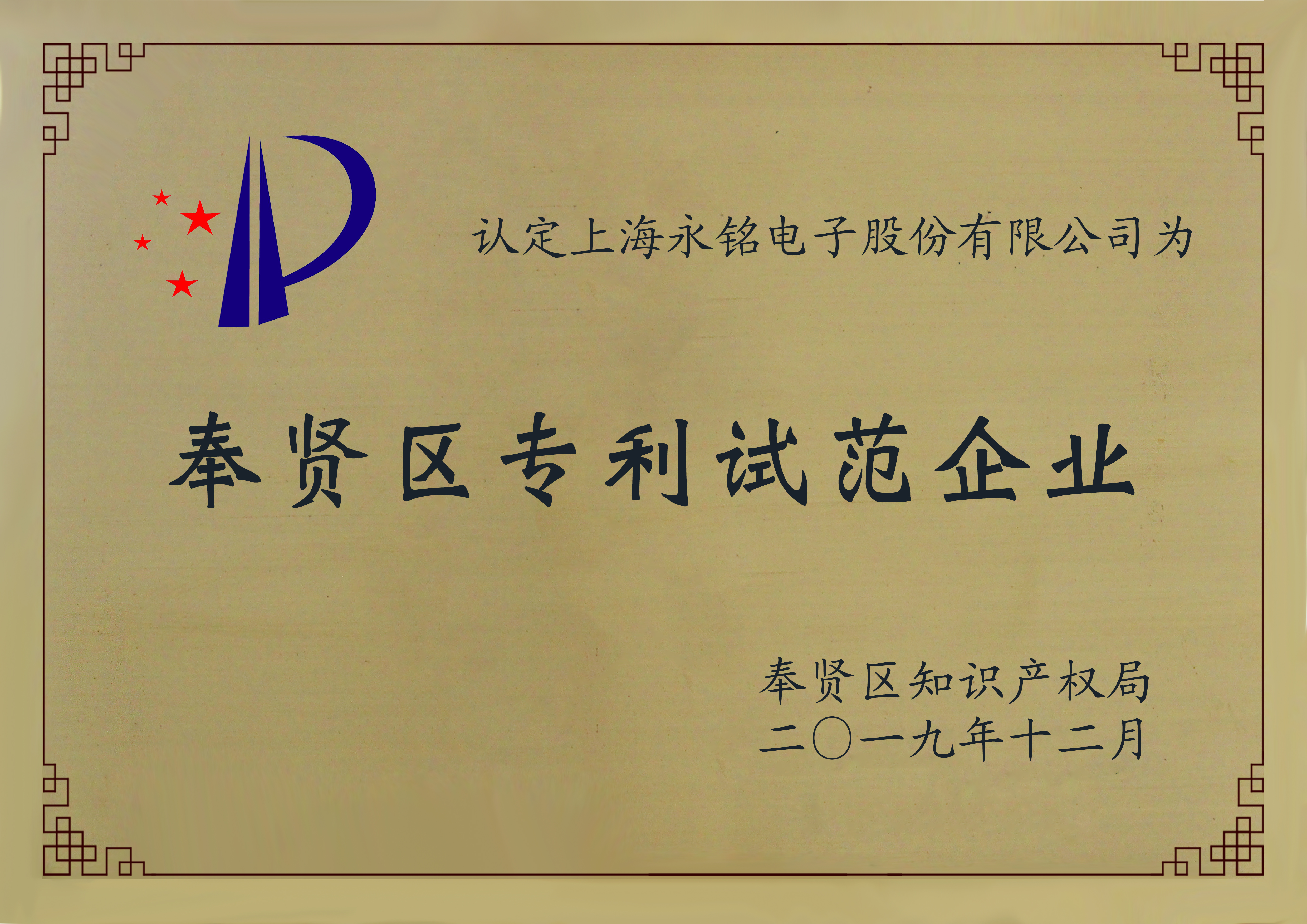 奉贤区专利示范企业